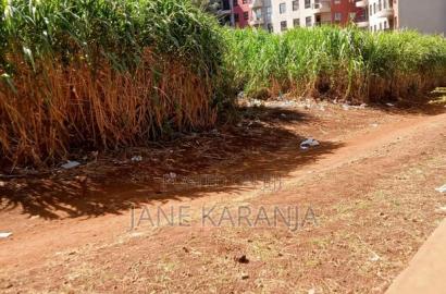 Kiambu Road Plot Slightly Smaller Than Half an Acre 115m