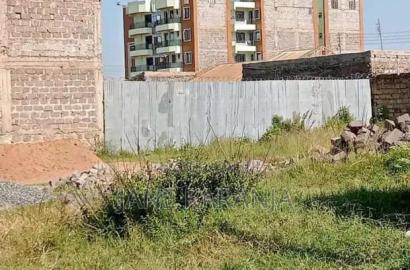40 by 100 Distress Plot for Sale Kiganjo-Kiandutu 3.2M