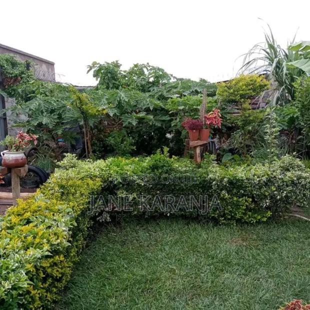 33 by 100 Plot for Quick Sale in Juja