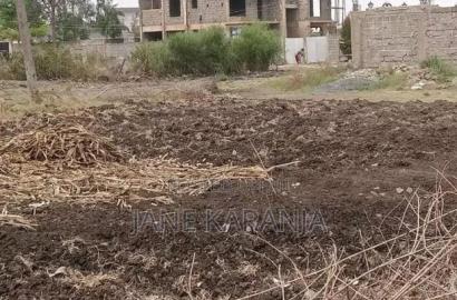 Quarter Acre Ruiru, Silicone Valley Estate 9.5m