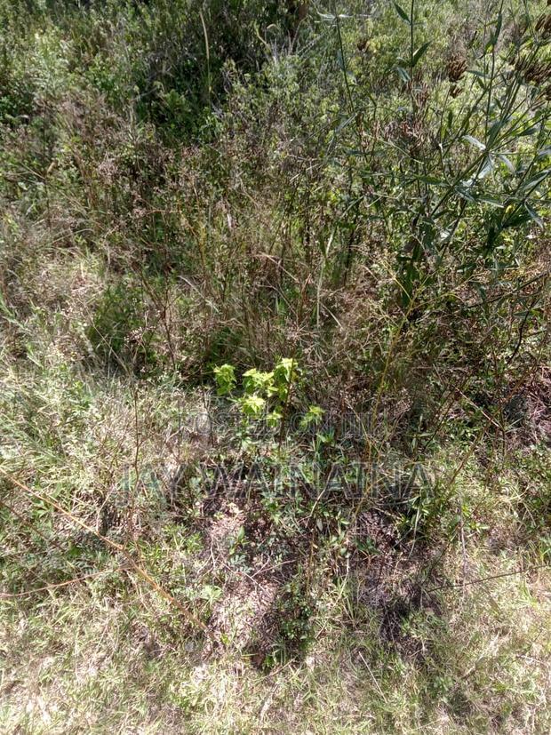 Land for Sale in Rimpa, Ongata Rongai