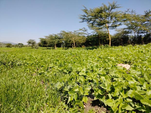 1/4 Arca Piece Land for Sell on Illasim Road Corner Baridi