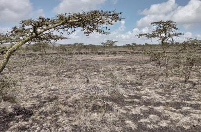 This 100 Arca Piece of Land Is Up for Sale in Kipeto