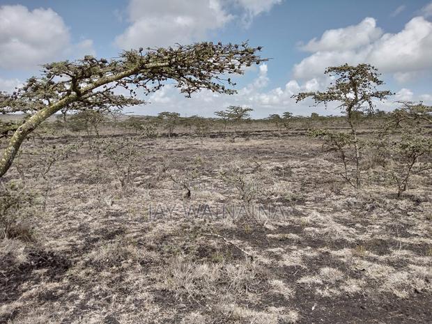 This 100 Arca Piece of Land Is Up for Sale in Kipeto