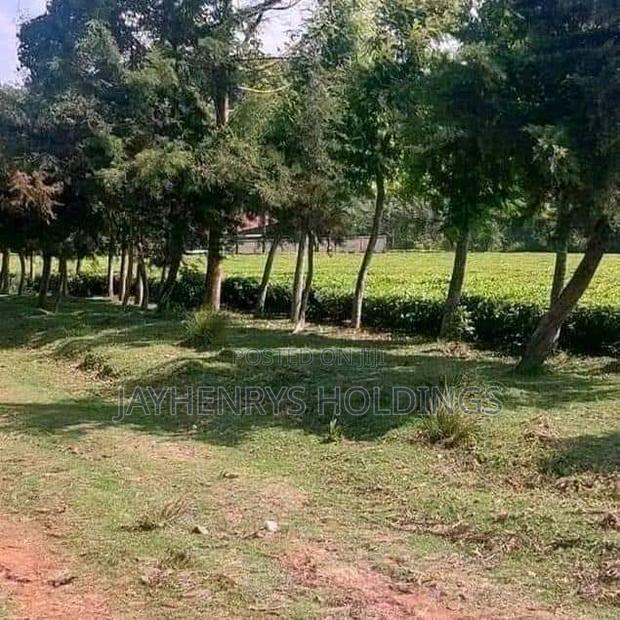 12.5 Acres for Sale in Riara Ridge,Tigoni at Kes 225m