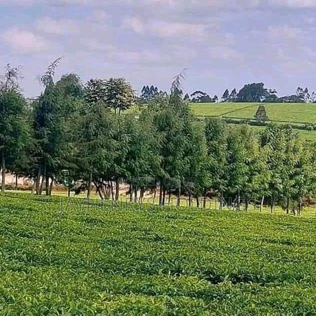12.5 Acres for Sale in Riara Ridge,Tigoni at Kes 225m