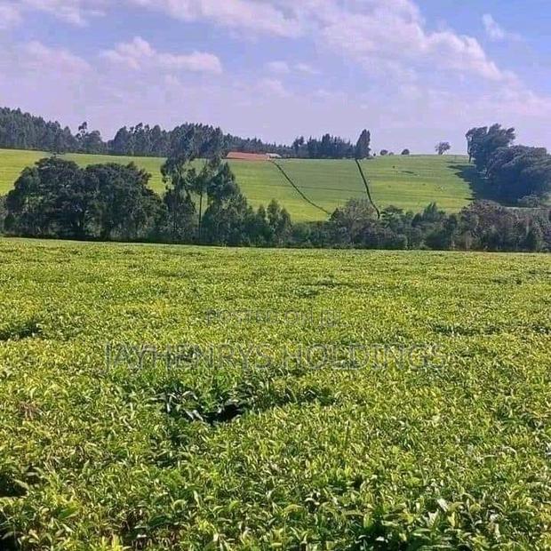12.5 Acres for Sale in Riara Ridge,Tigoni at Kes 225m