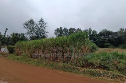 Commercial 1/4 Acre Plot for Sale in Kiamumbi Estate
