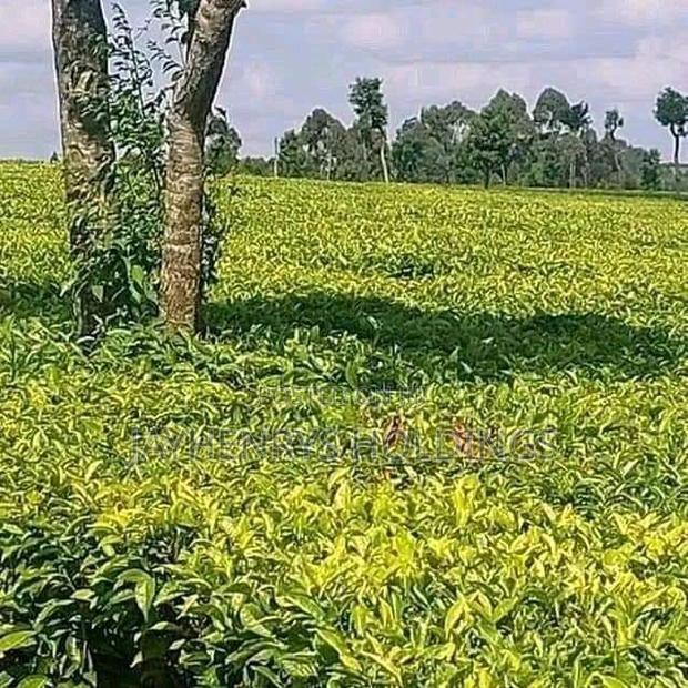 12.5 Acres for Sale in Riara Ridge,Tigoni at Kes 225m