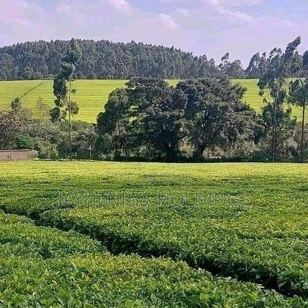 12.5 Acres for Sale in Riara Ridge,Tigoni at Kes 225m