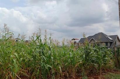 Plots for Sale in Mugutha, Ruiru at Kes 3.5M
