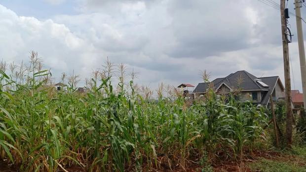 Plots for Sale in Mugutha, Ruiru at Kes 3.5M