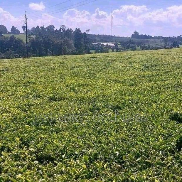 12.5 Acres for Sale in Riara Ridge,Tigoni at Kes 225m