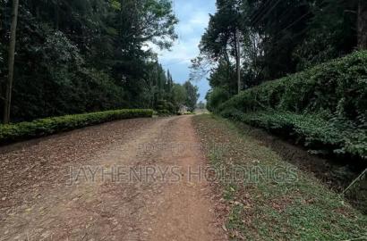 Half Acre Plot for Sale in Njathaini Road,Off Kiambu Rd at Kes 26m