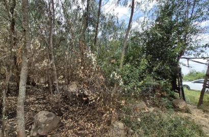 Half Acre Plot for Sale in Garden Estate