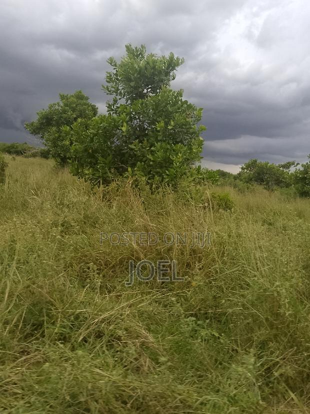 Malindi 18 Acres Land With Ready Title Deed