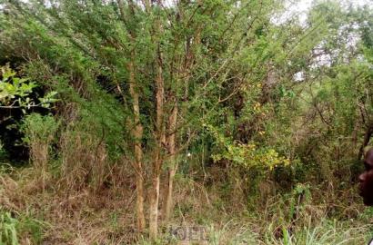 Malindi Land 10,000 Acres For Sale