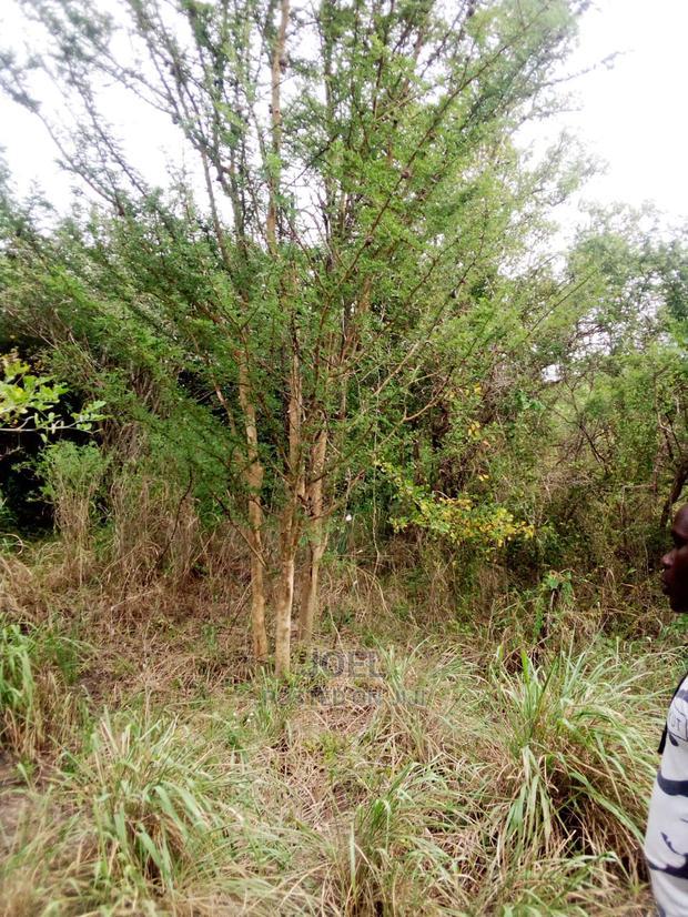 Malindi Land 10,000 Acres For Sale