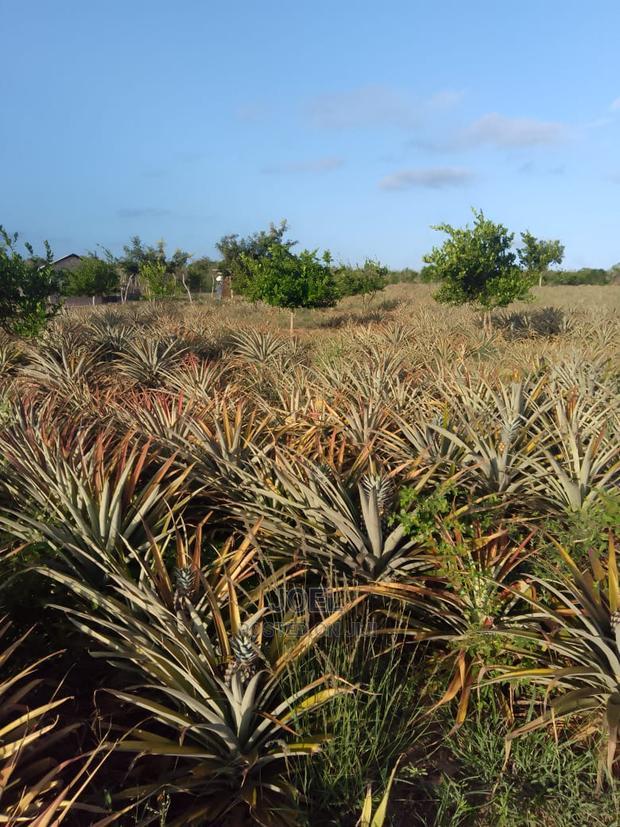 2 Acres Malindi With Ready Title Deed
