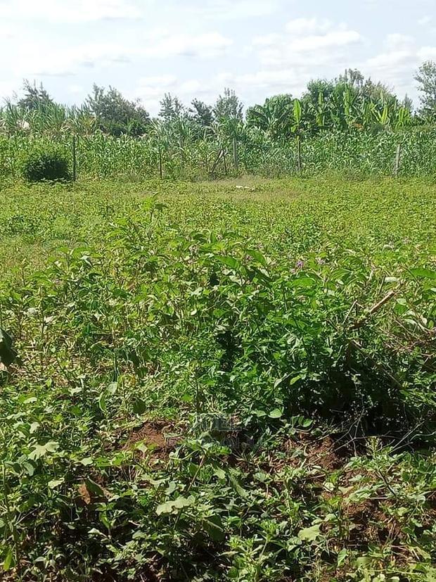 Malindi 3 Acres Land on Sale