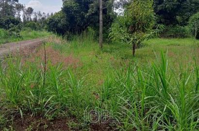Langa Langa Gilgil 10 Acres Land for Sale