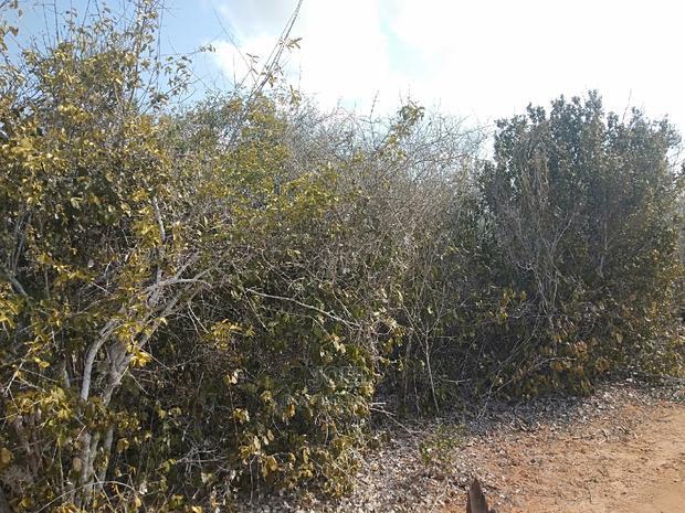 Malindi 24 Acres Land