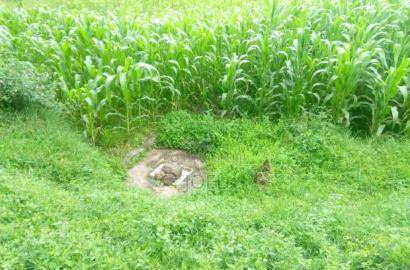 Malindi 600 Acres With a River