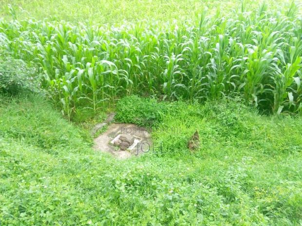 Malindi 600 Acres With a River