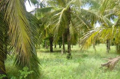 Malindi 18 Acres Land With Ready Title Deed