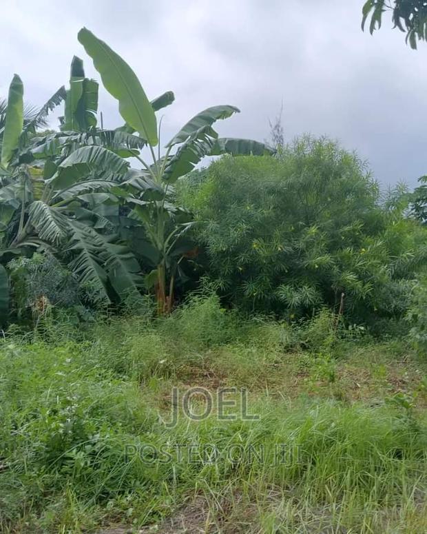 Malindi 45 Acres Ready Title Deed