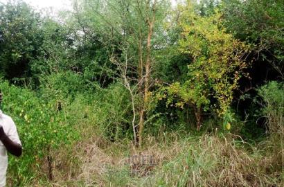 Malindi 12 Acres Land for Sale