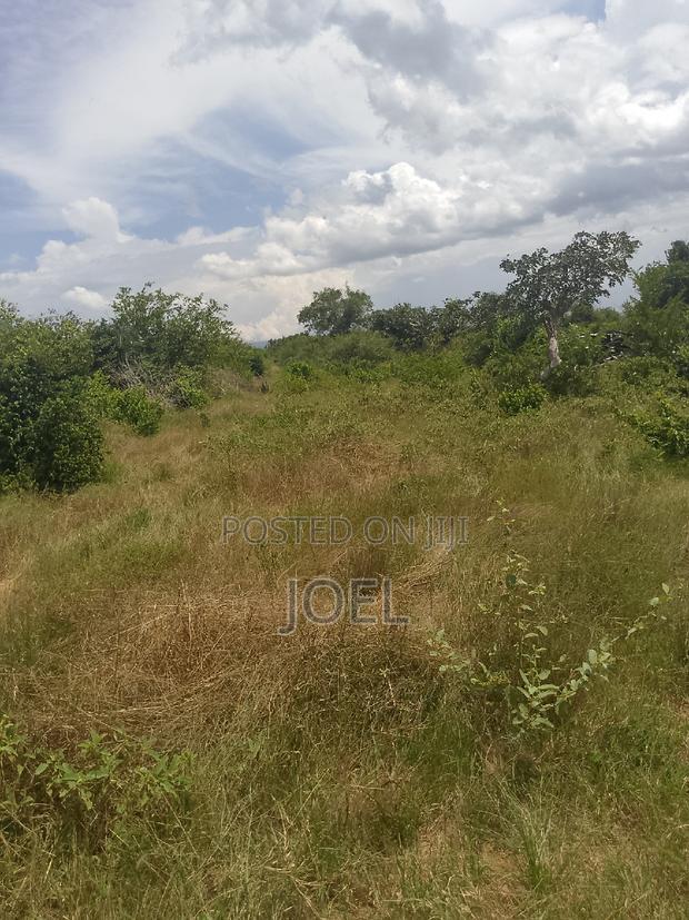Malindi 30 Acre Land Ready Title Deed