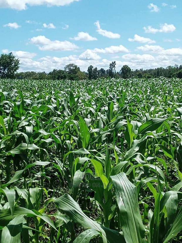 38 Acres Malindi Land