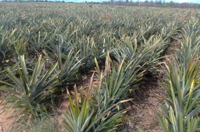 Malindi 5000 Acre Land on Sale