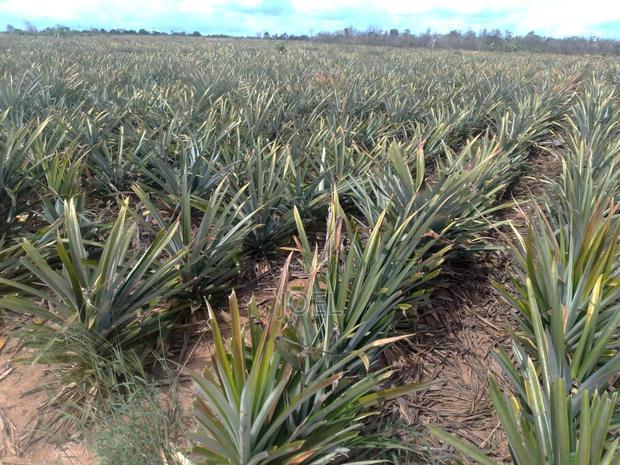 Malindi 5000 Acre Land on Sale