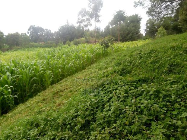 Malindi 600 Acres With a River