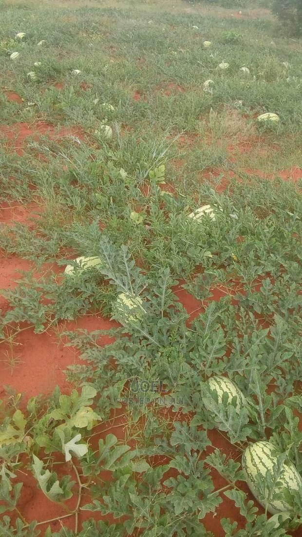 Malindi 3 Acres Land on Sale