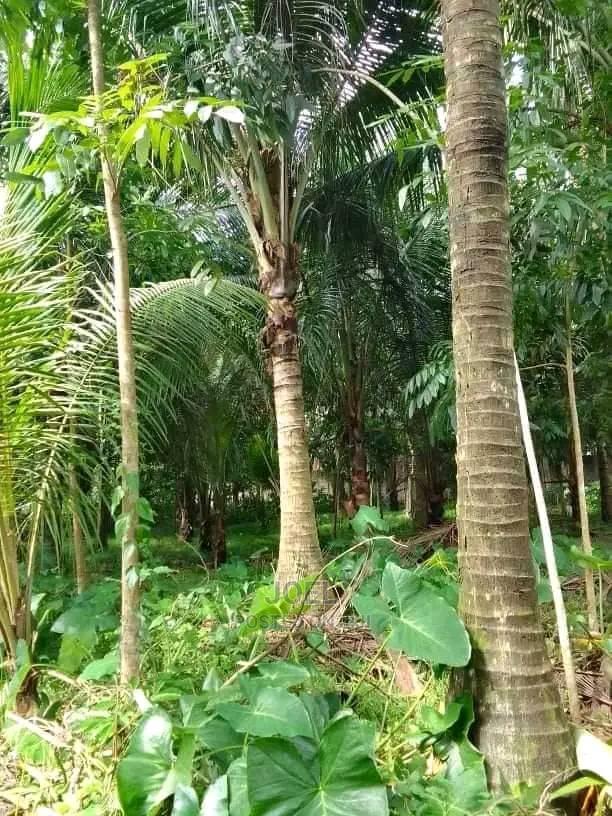 2 Acres Malindi With Ready Title Deed
