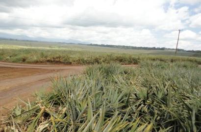 Malindi 55 Acres Land On Sale