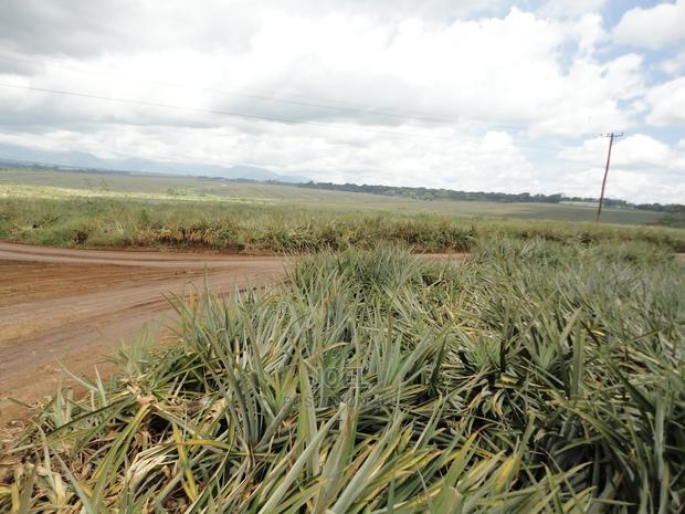 Malindi 55 Acres Land On Sale
