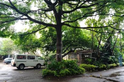 Lavington Prime 1.2A Plot for Sale