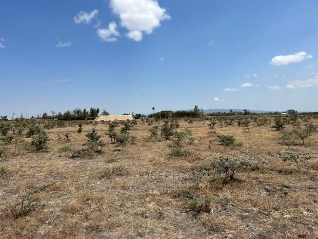 Tuala Rangua 6-Acres