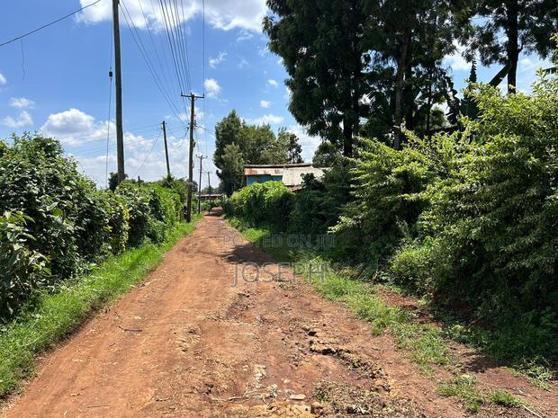 Banana Hill 1.4acre River Frontage