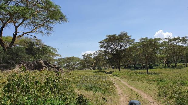 Prime Lake Frontage Conservancy Ranch Naivasha