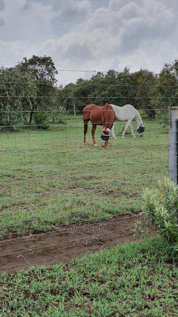 Naivasha 5 and 10acres Within Developed Impala Estate