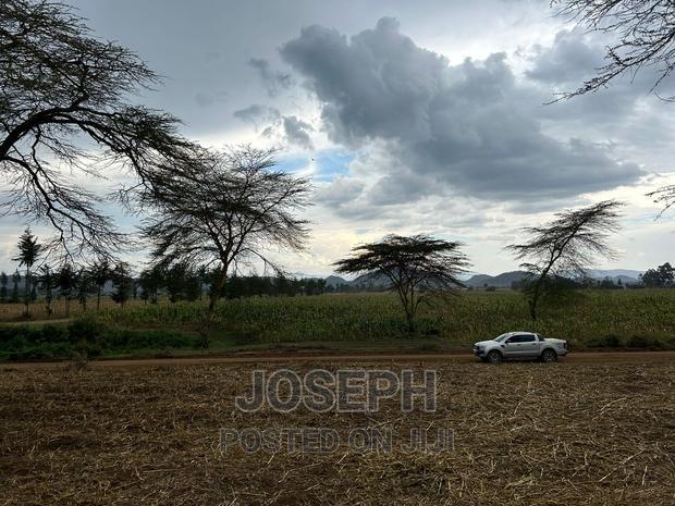 Naivasha Ndabibi Prime and Fertile 50-Acres