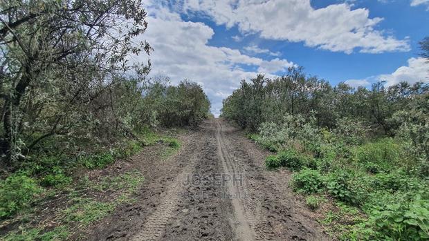 Charming Block of 112 Acres Naivasha Kedong