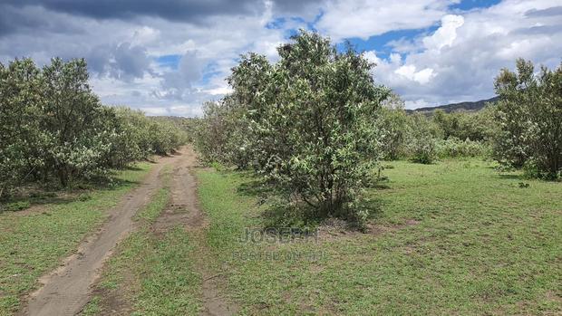 Charming Block of 112 Acres Naivasha Kedong