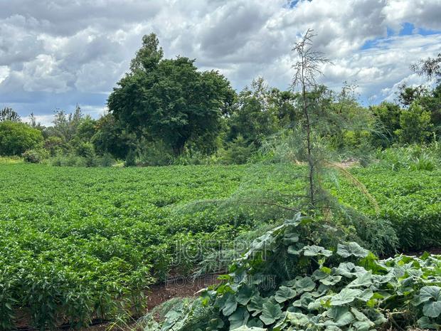 Sagana 7acres River Frontage Farm