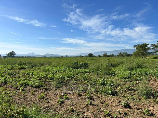 Moi Ndabibi 50 Acre
